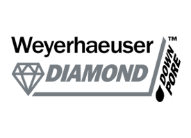 DIAMOND™ PREMIUM FLOOR PANELS logo